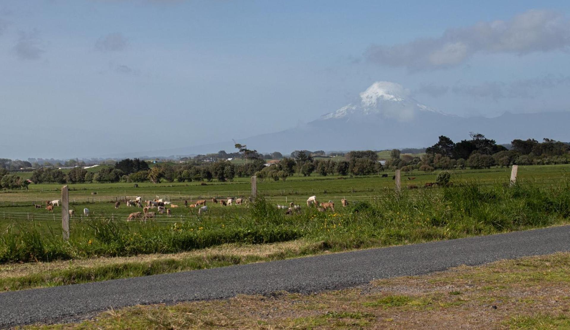 The Flight Pad Window Seat Pet Friendly Appartement Waitara Buitenkant foto